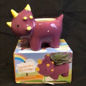 Tyson the Triceratops animal planter. New & flaws
